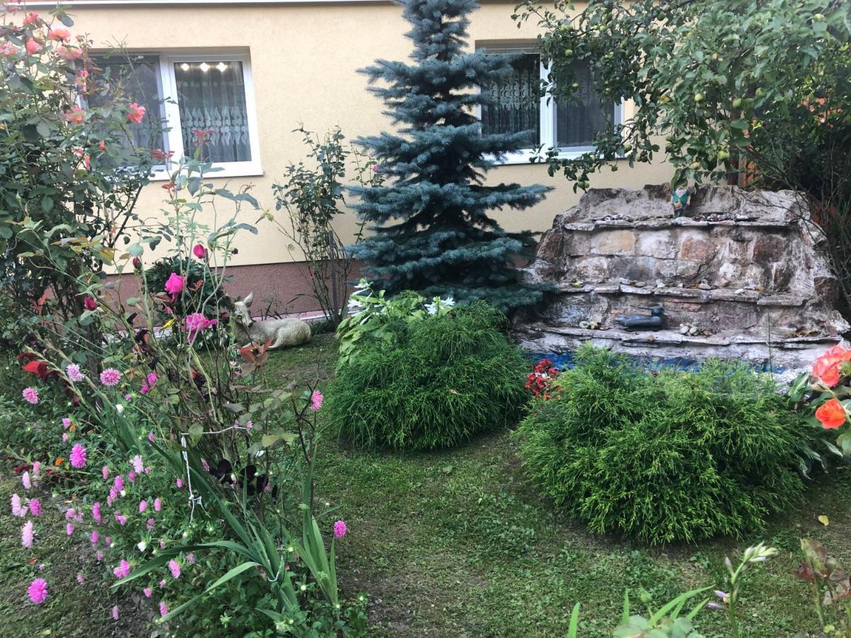 Hotel Casa Todea Cîmpeni Exterior foto